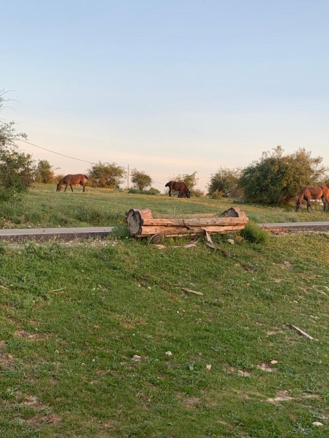 Cabanas Buenache Buenache de la Sierra 外观 照片
